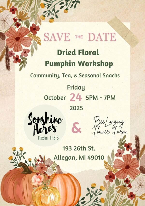 Pumpkins & Petals: A Dried Floral Pumpkin Workshop - 10/24