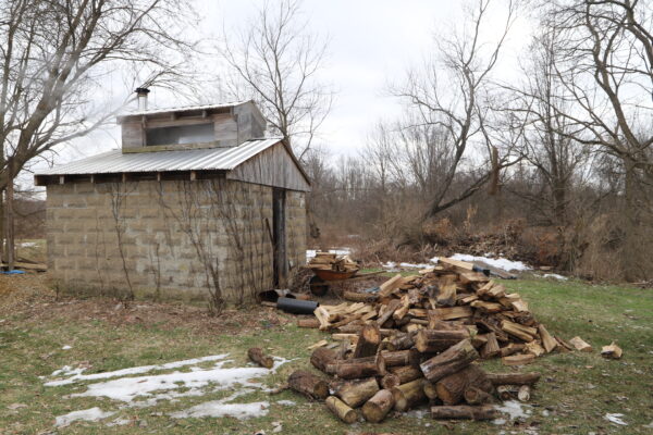 A Sweet Taste of Maple at Sonshine Acres - Image 6