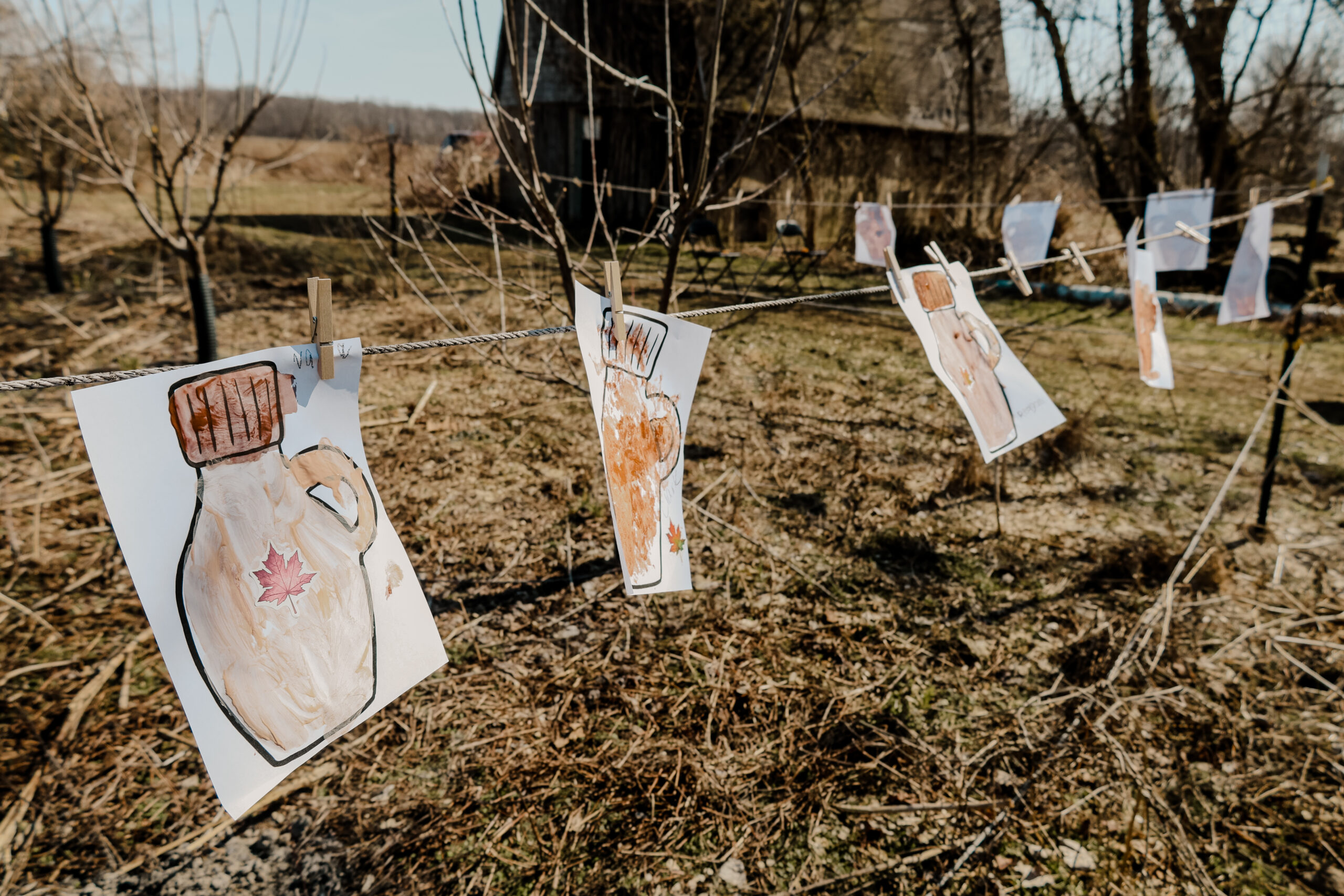 A Sweet Taste of Maple at Sonshine Acres - 03/14 (Public Event) - Image 10