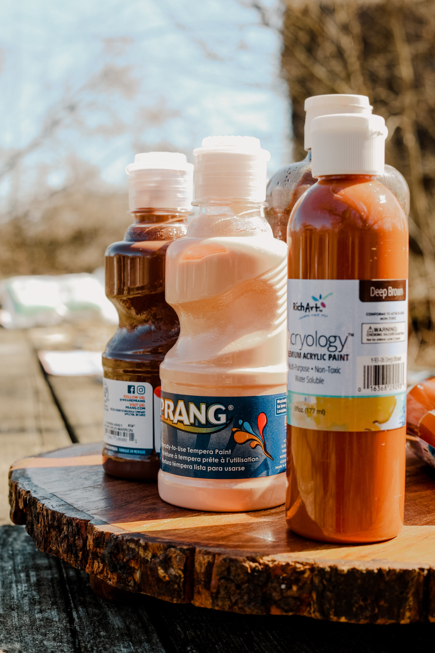 A Sweet Taste of Maple at Sonshine Acres - 03/14 (Public Event) - Image 70