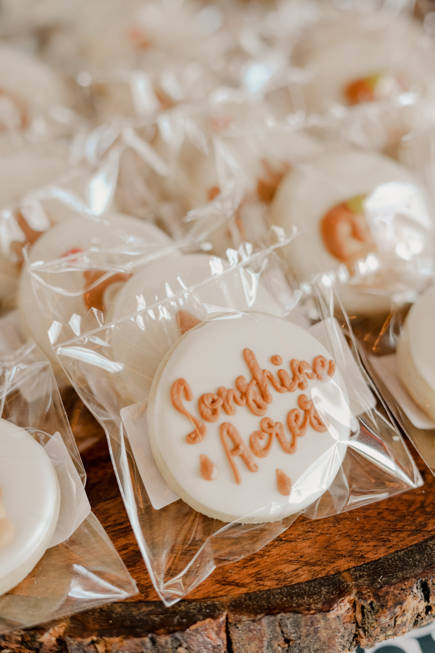 A Sweet Taste of Maple at Sonshine Acres - 03/14 (Public Event) - Image 78