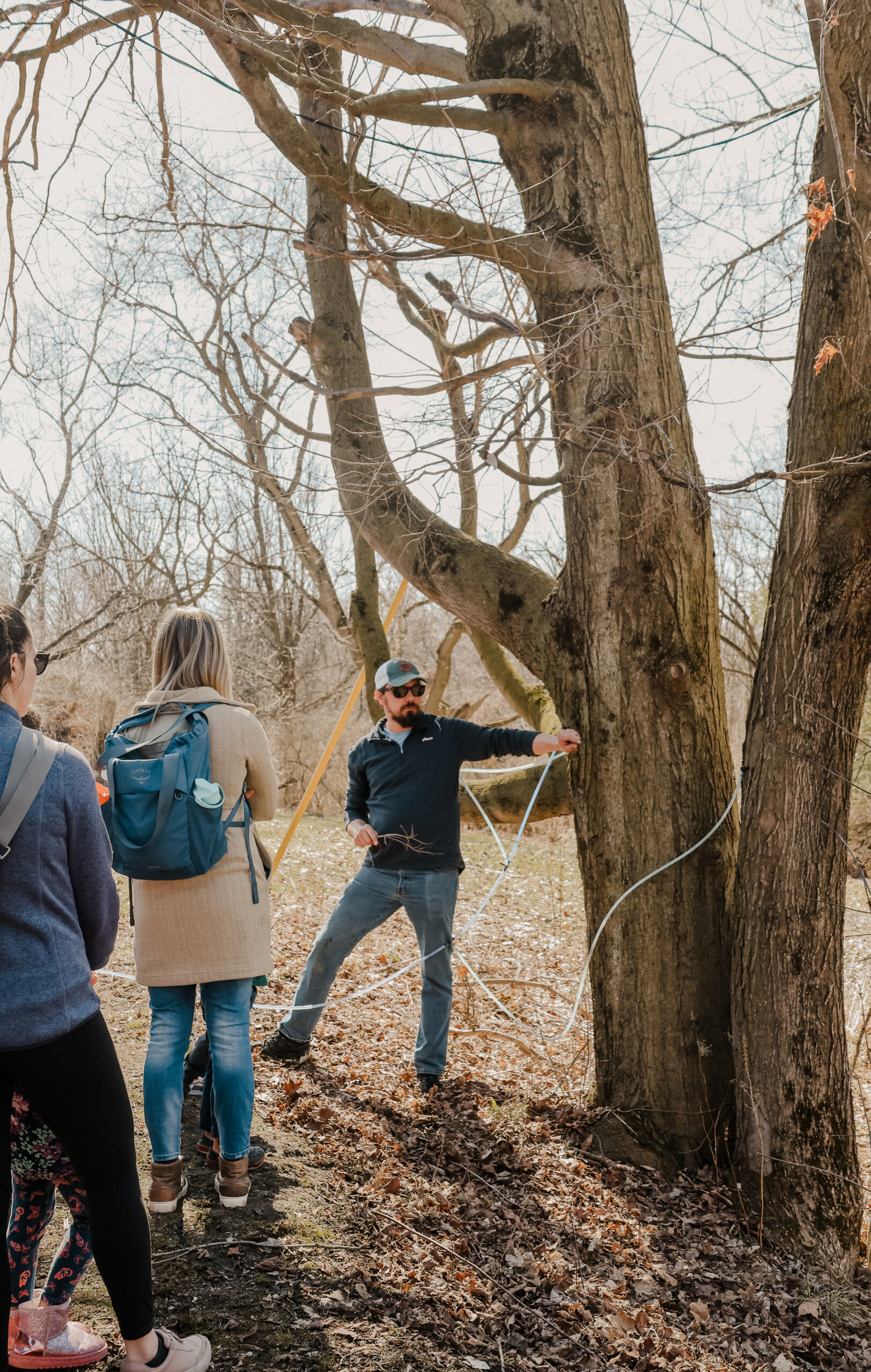 A Sweet Taste of Maple at Sonshine Acres - 03/14 (Public Event) - Image 52