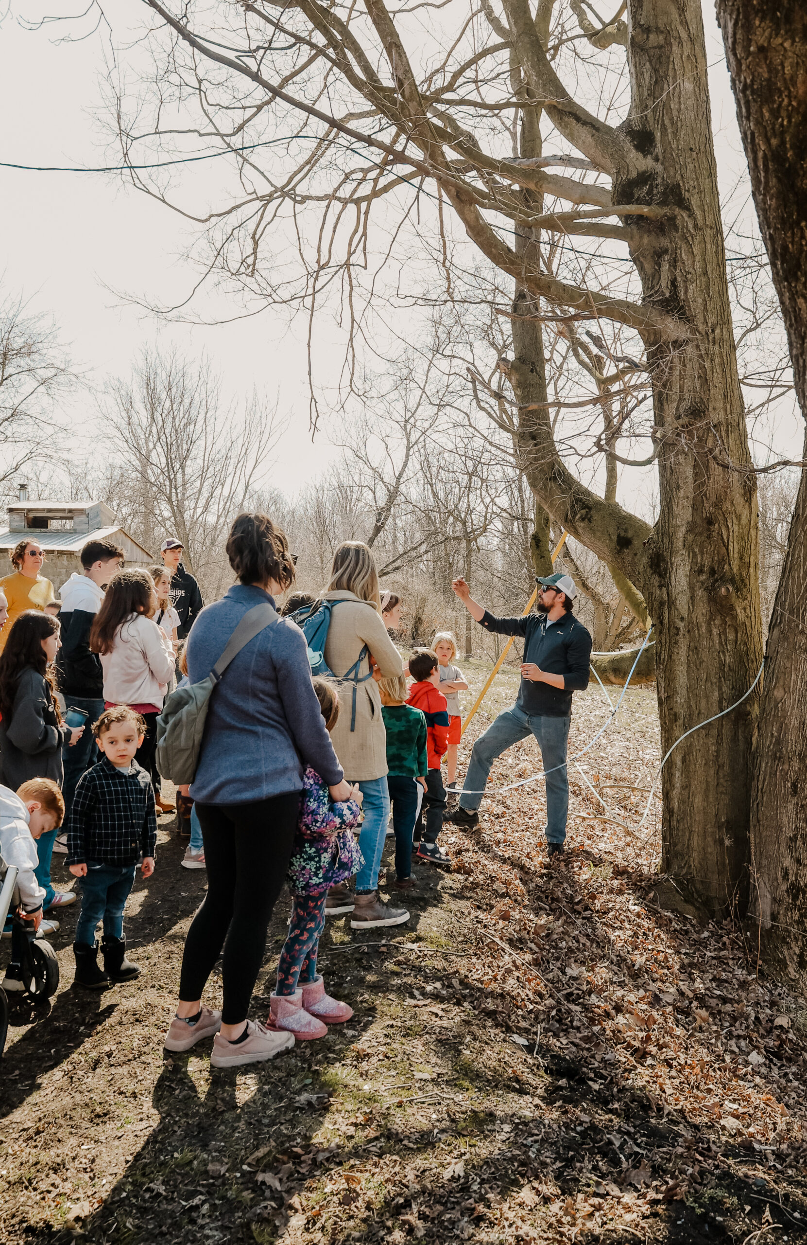 A Sweet Taste of Maple at Sonshine Acres - 03/14 (Public Event) - Image 51